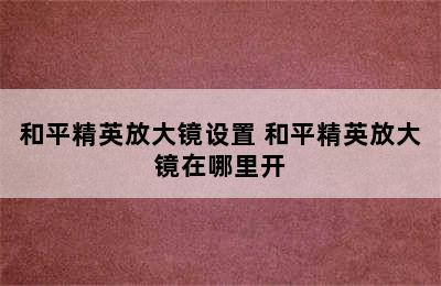 和平精英放大镜设置 和平精英放大镜在哪里开